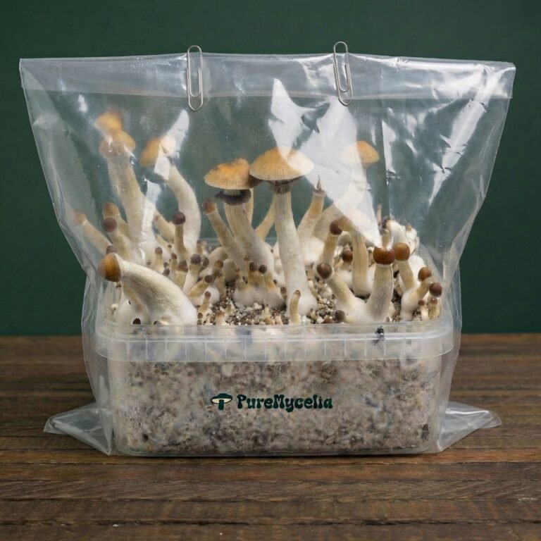 PureMycelia™ grow