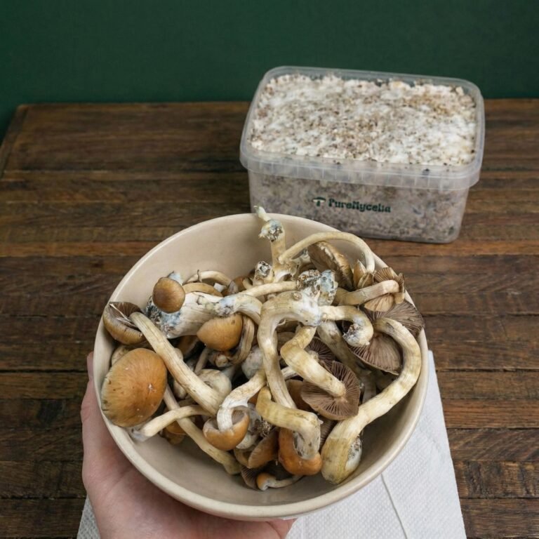 PureMycelia™ yield