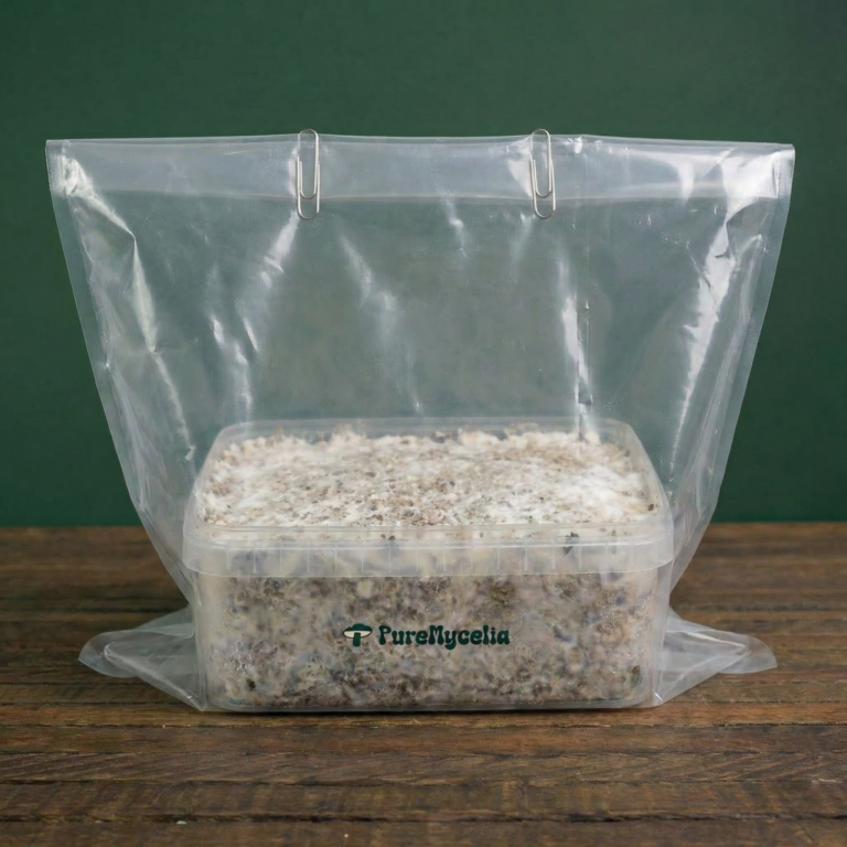 PureMycelia™ setup