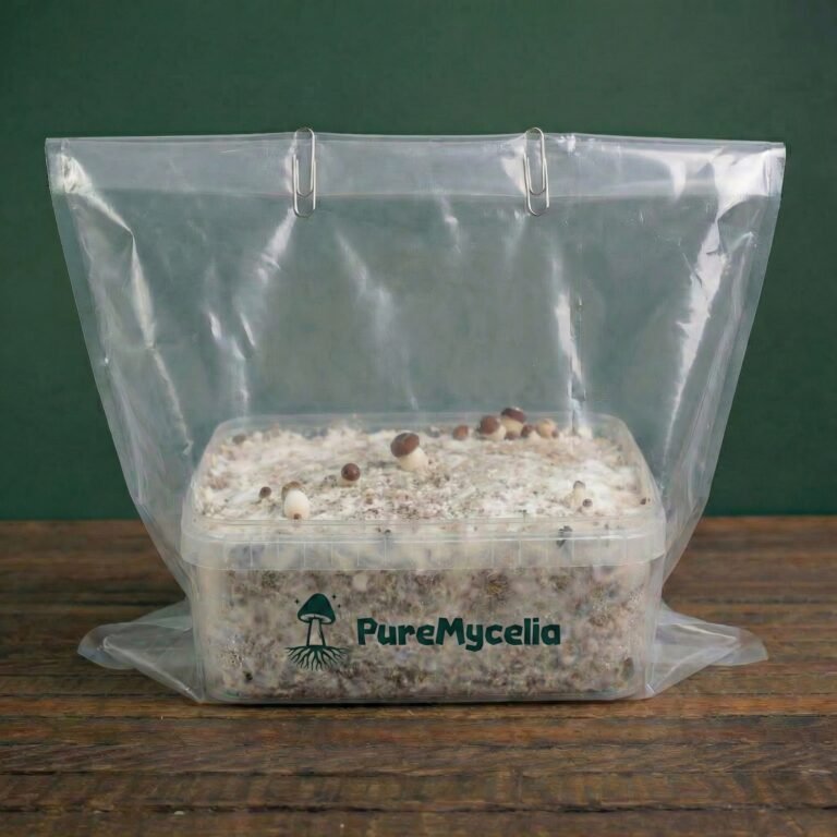 hf_20260226_113442_ef53f994-71a4-4f59-a8ab-ec51d4bd9381